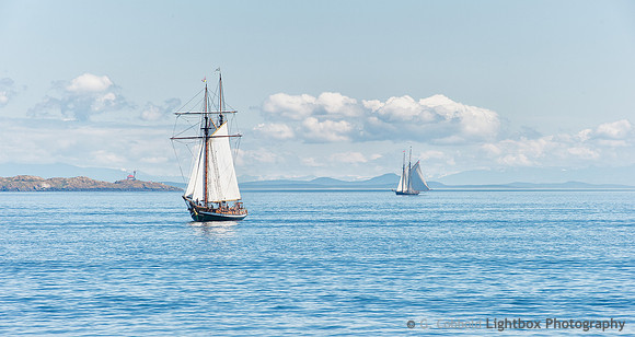 Afternoon Sailing, Victoria