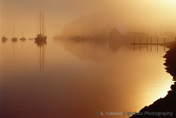 Cow Bay Morning
