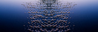Beach Sand Photomerge