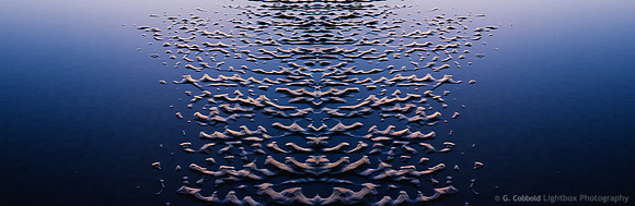 Beach Sand Photomerge