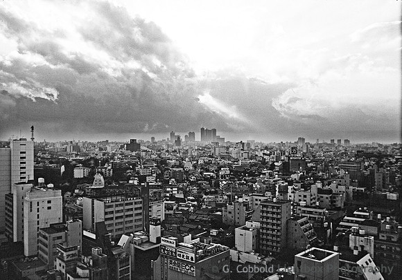 Tokyo Storm