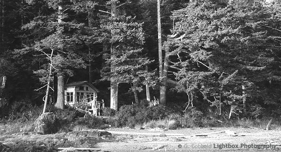 Beach Cabin