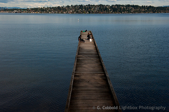 Lake Washington Afternoon