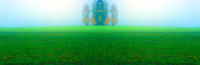 Green Feild Photomerge