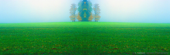 Green Feild Photomerge