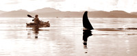 Kayaking
