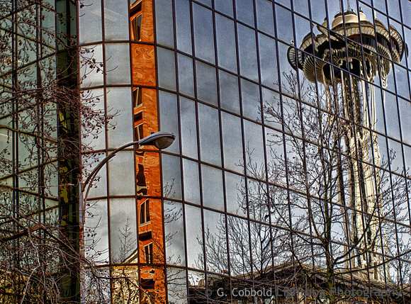 Needle Reflection, Seattle
