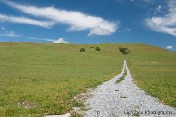 Hollister Road
