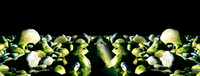 Green River Rock Photomerge
