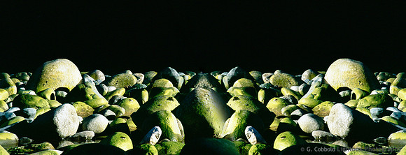 Green River Rock Photomerge