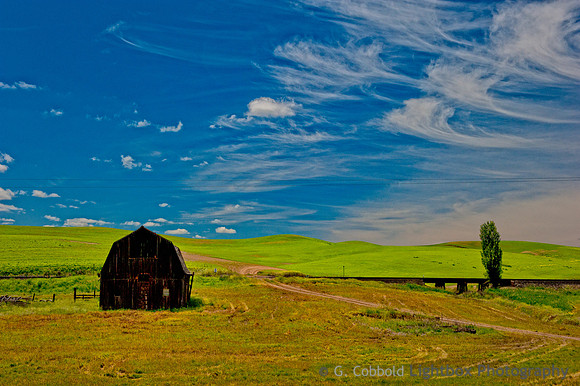 Barn Art